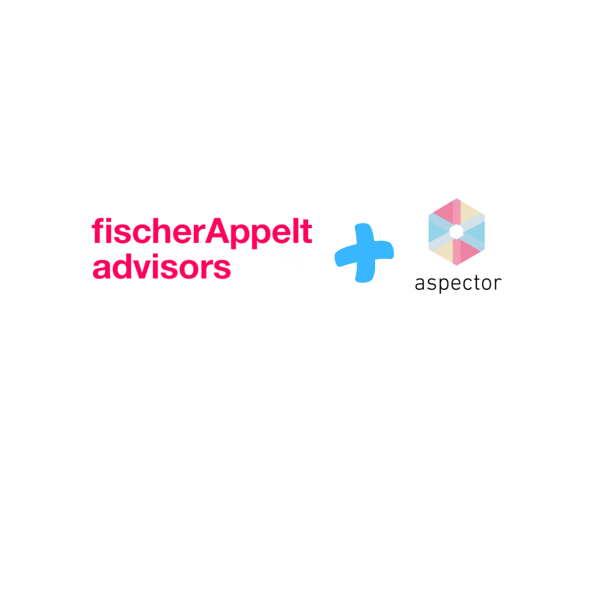 fischer-appelt-advisors fischer appelt advisors
